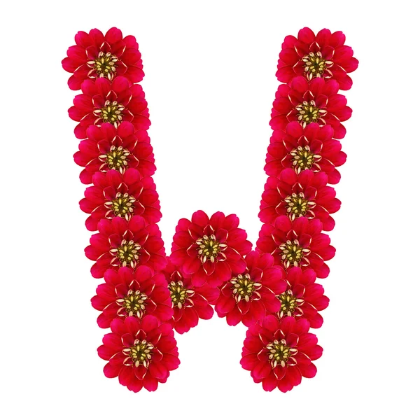 Písmeno w od červené květy — Stock fotografie