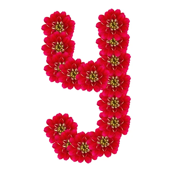 Letter Y from red flowers — Stock Photo, Image