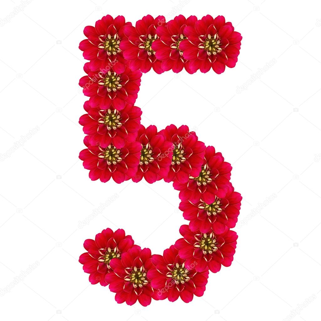 FIVE from red flowers