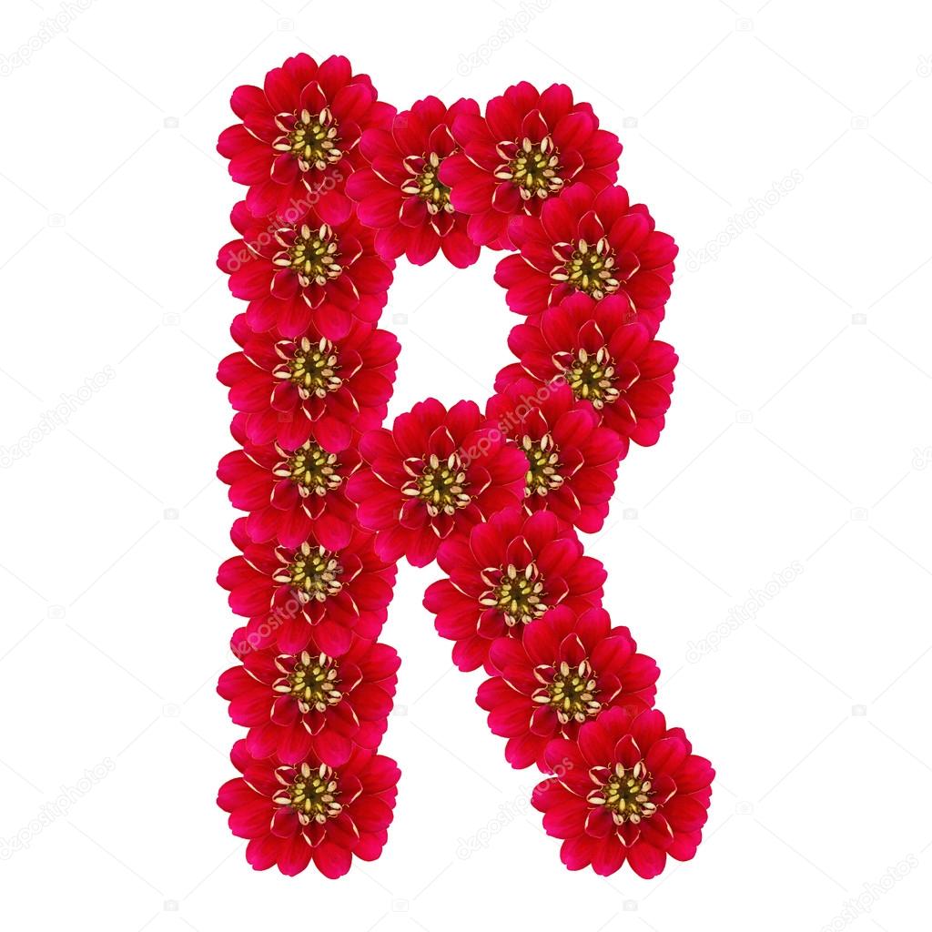 Letter R from red flowers Stock Photo by ©irogova 27951501