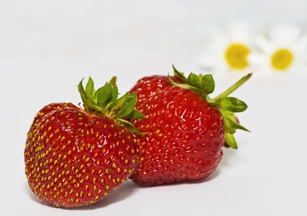 Strawberr, rumianek — Zdjęcie stockowe
