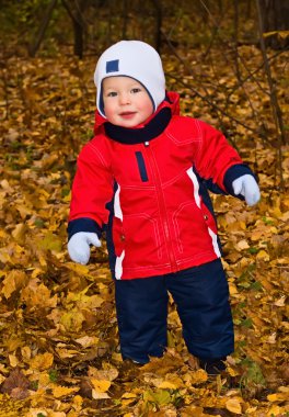 bir yaşındaki çocuk sonbahar ahşap