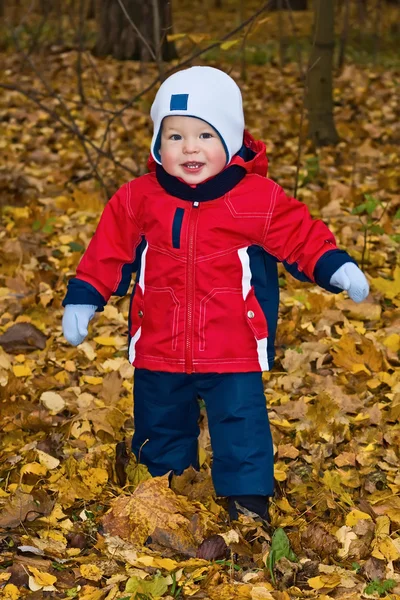 The one-year-old kid in autumn wood — Stock Photo, Image