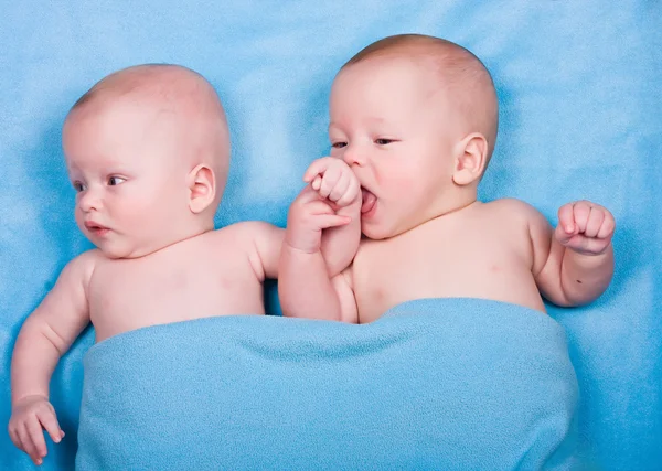 Los gemelos, uno lame una mano de otro — Foto de Stock