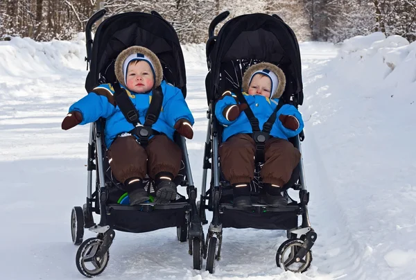 Годовалые близнецы на прогулке по лесу зимой — стоковое фото