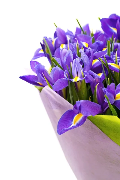 Bouquet of irises — Stock Photo, Image