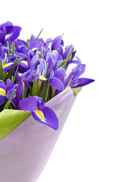 Bouquet di iris — Foto Stock