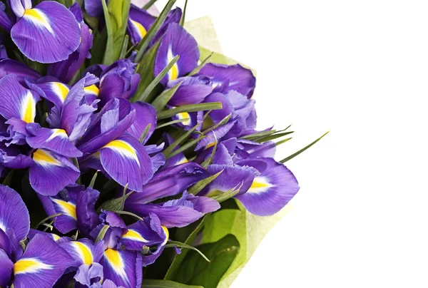 Bouquet of irises — Stock Photo, Image