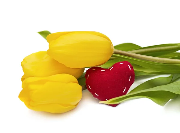 Yellow tulip and the heart — Stock Photo, Image