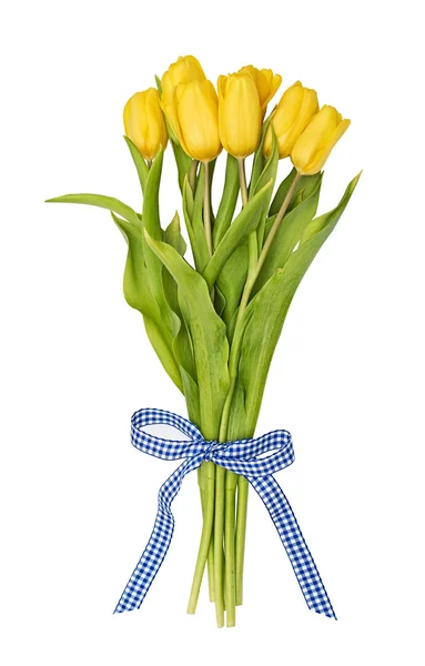 Buquê de tulipas amarelas amarrado por uma fita quadriculada azul — Fotografia de Stock