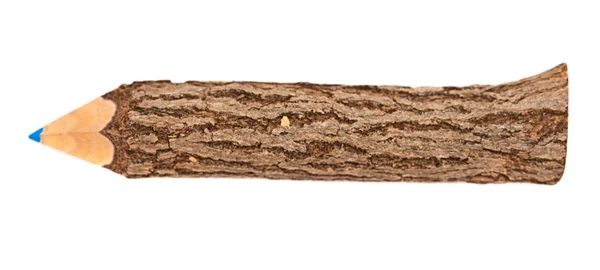 Pencil stylized tree branch — Stock Photo, Image