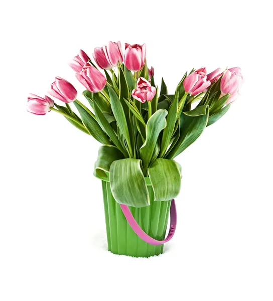 Tulips in a green bucket on snow — Stock Photo, Image