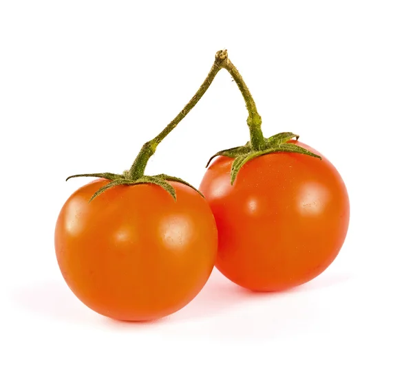 Zwei Tomaten — Stockfoto