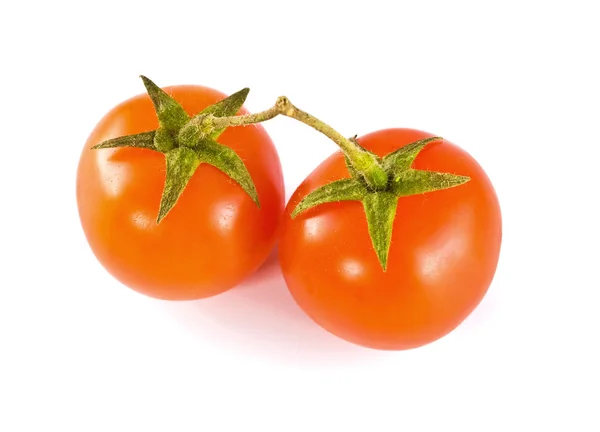 Tomaten — Stockfoto