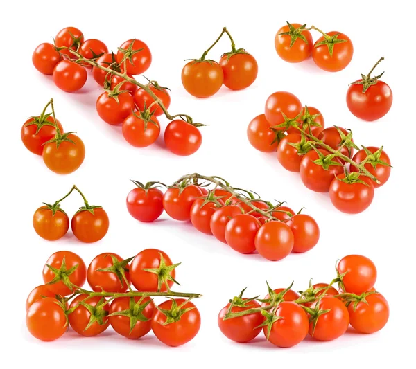 Conjunto de tomates — Fotografia de Stock