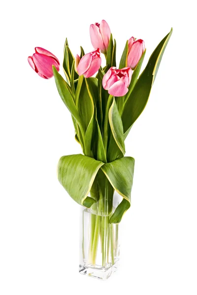 Bukiet wiele czerwonych tulipanów — Zdjęcie stockowe
