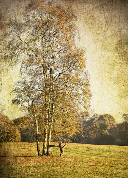 Herfst veld — Stockfoto