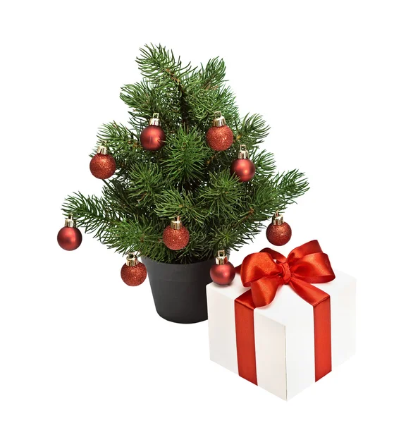 Vánoční stromek v hrnci — Stock fotografie