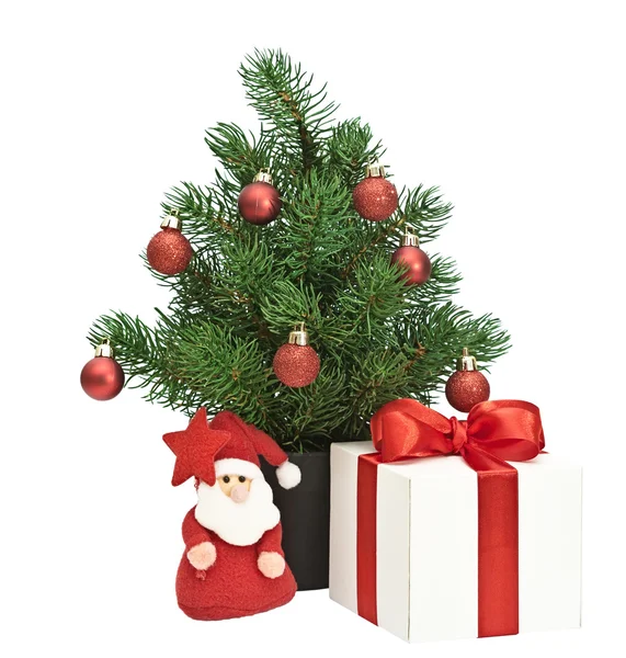 Christmas tree in a pot — Stock Photo, Image