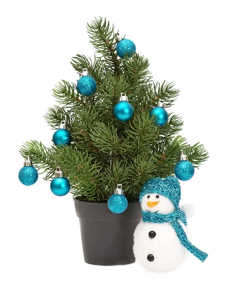 Christmas tree in a pot — Stock Photo, Image