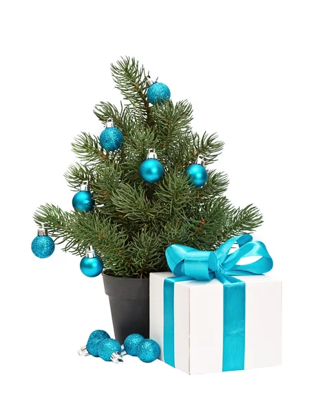 Weihnachtsbaum im Topf — Stockfoto