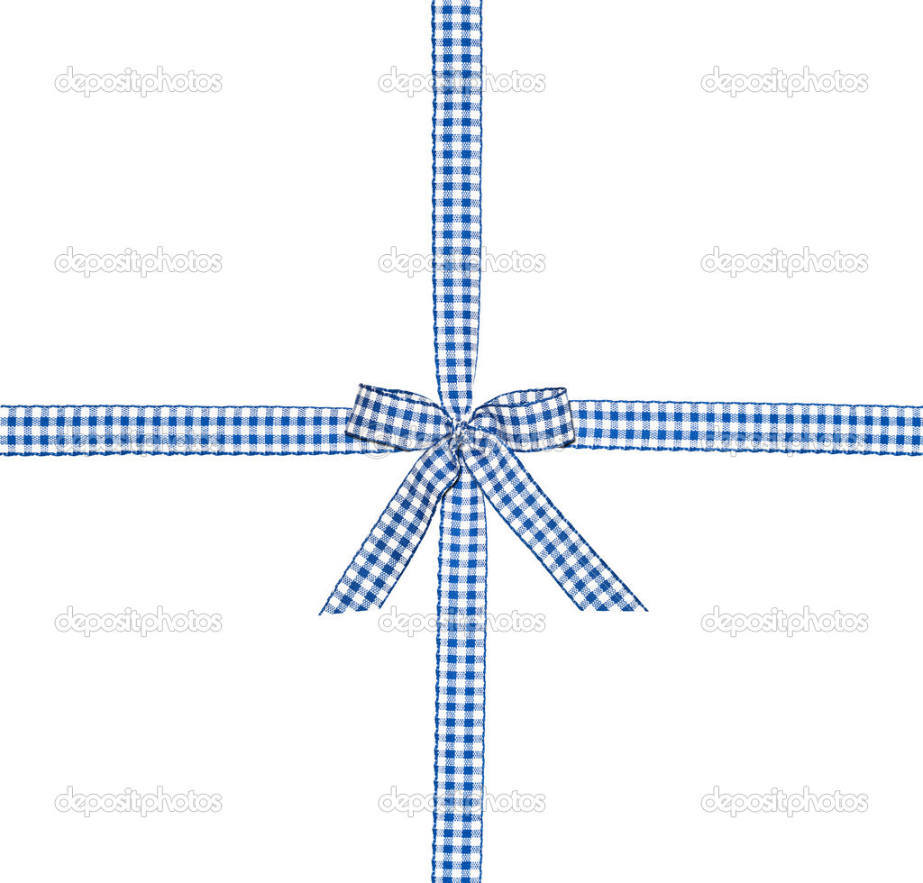Blue checkered bow