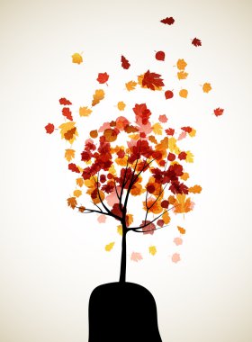 Sonbahar ağacı arkaplanı