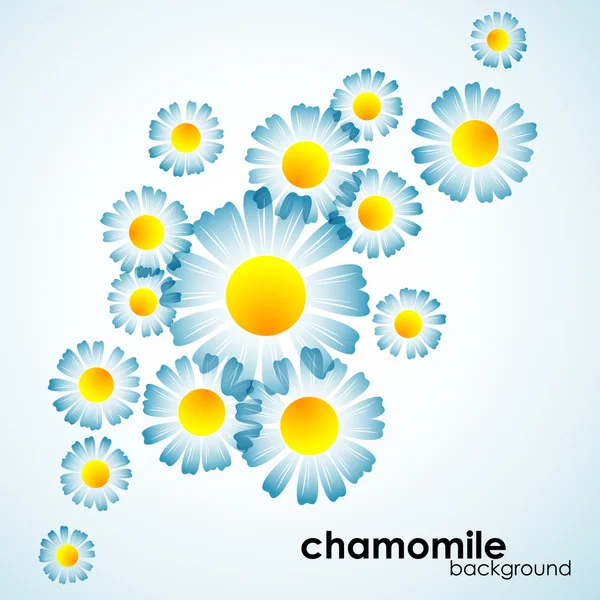 Chamomile background — Stock Vector