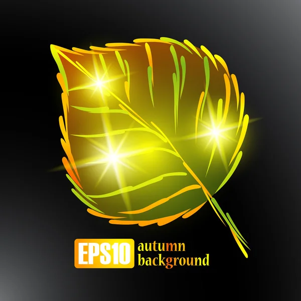 Autumn leaf background — Stock Vector