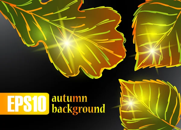 Autumn leaf background — Stock Vector