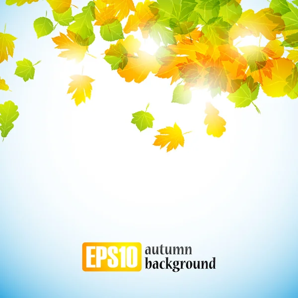 Autumn background — Stock Vector