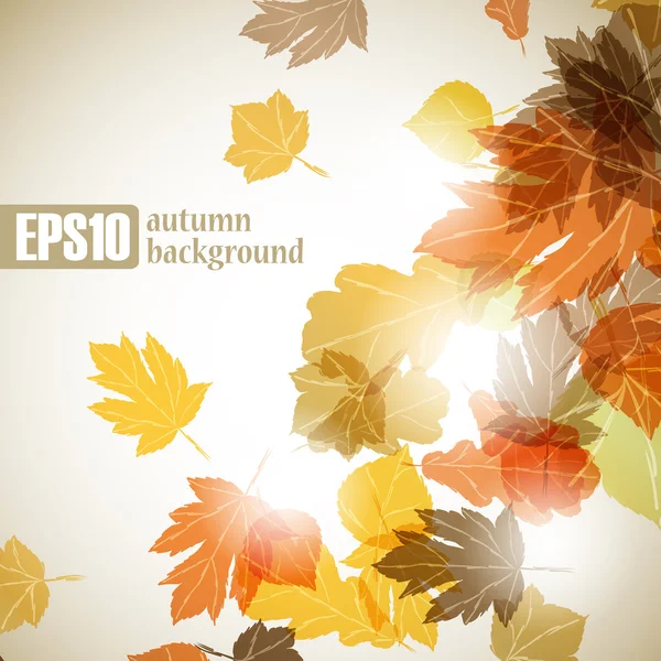 Autumn background — Stock Vector