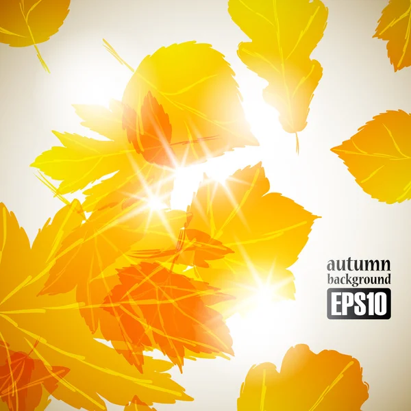 Sfondo autunno — Vettoriale Stock