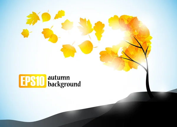 Autumn background — Stock Vector