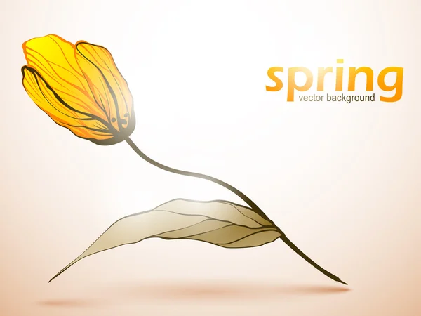 Frühling Blumen Hintergrund — Stockvektor