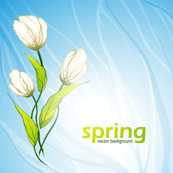 Spring flowers background — Stock Vector