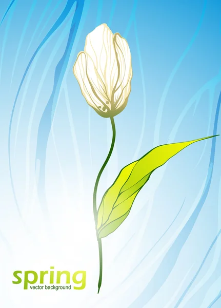 Våren blommor bakgrund — Stock vektor