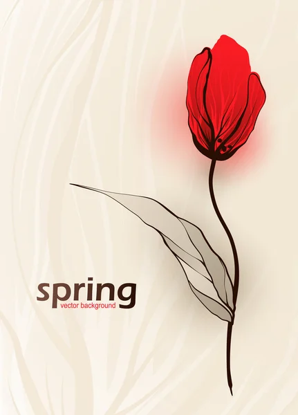 Primavera flores fundo — Vetor de Stock