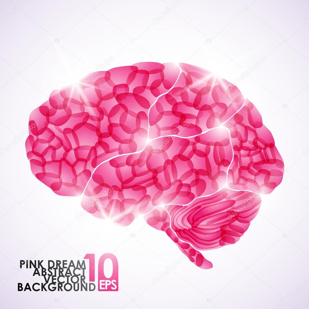 Human brain, pink dream