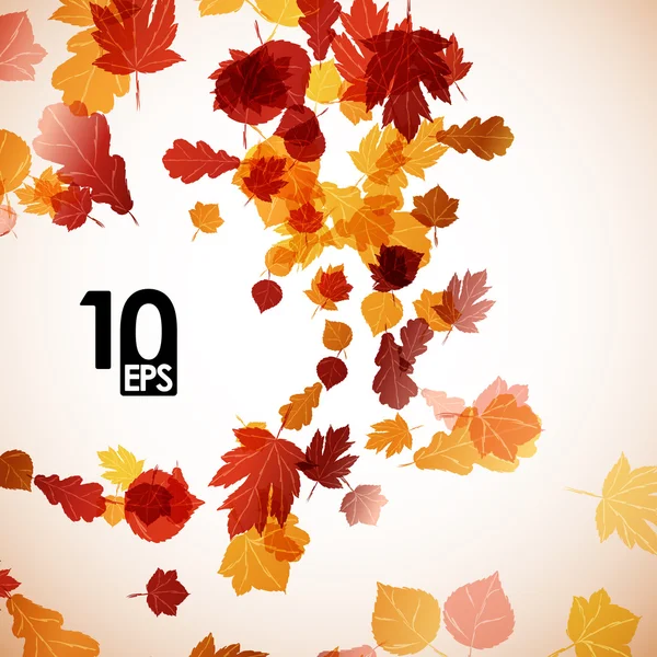 Autumn leaves background — Stock Vector