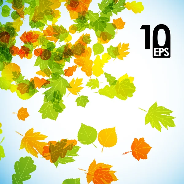 Hojas de otoño fondo — Vector de stock