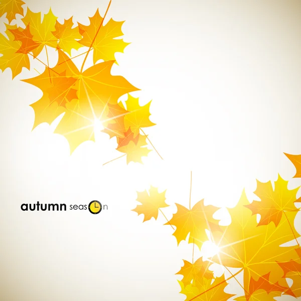 Autumn background — Stock Vector