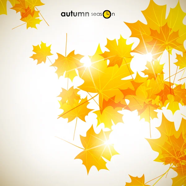 Autumn background — Stock Vector