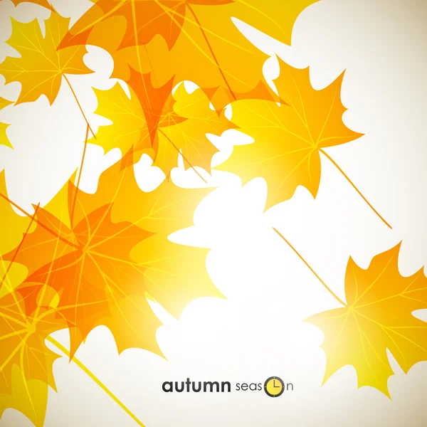 Autumn background — Stock Vector