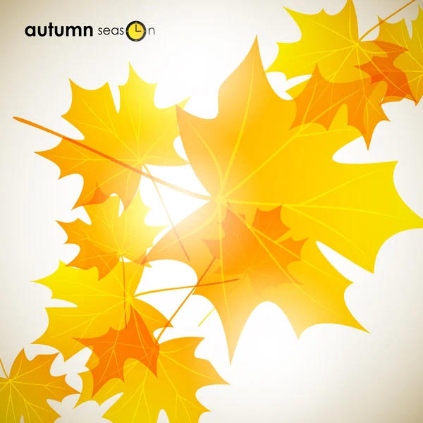 Autumn background — Stock Vector