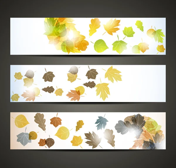 Autumn banner — Stock Vector
