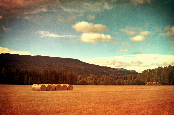 Field with hay bales vintage photo.