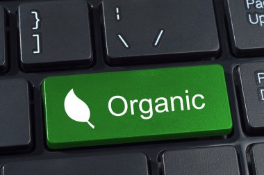 bilgisayar klavye düğme sözcüğü organik yeşil ve IC yaprak