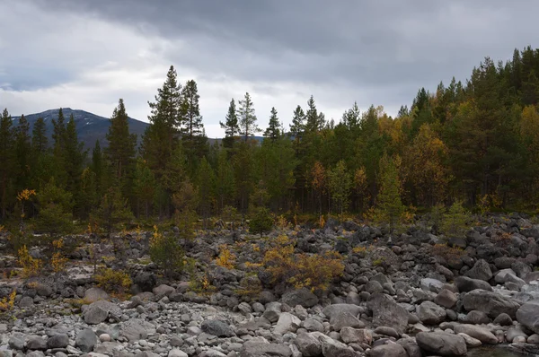 Autumn forest, river bank with boulders. — Stock Photo, Image