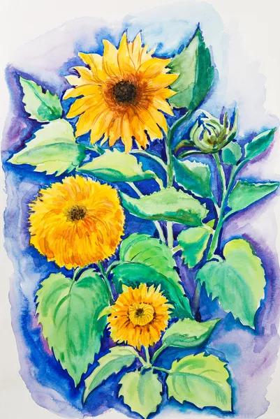 Żółte słoneczniki, akwarela malarstwo — Zdjęcie stockowe
